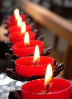 /album/misc/pic046cc-jpg1/