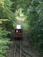 /album/misc/p1060857-530svr-jpg/